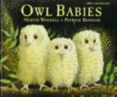 Owl babies