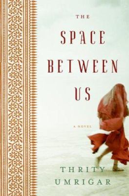 The space between us : a novel