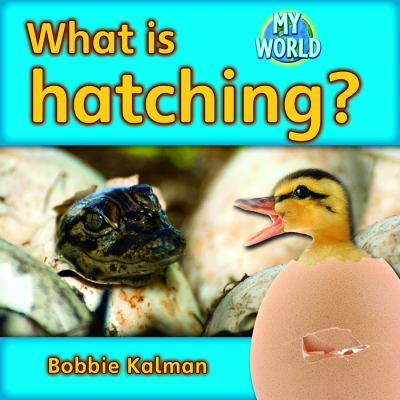 What is hatching?