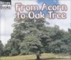 From acorn to oak tree