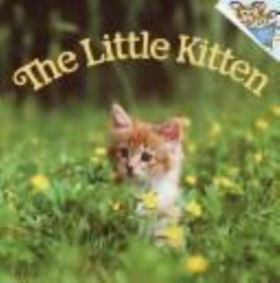 The Little Kitten : written by Judy Dunn Sprangenberg