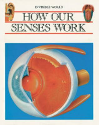 How our senses work