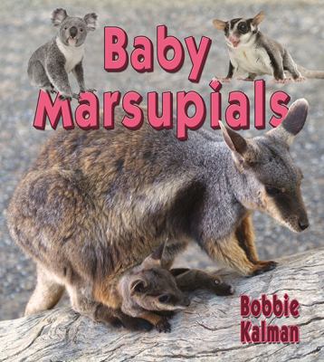 Baby marsupials