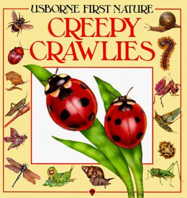 Creepy crawlies : insects and other tiny animals