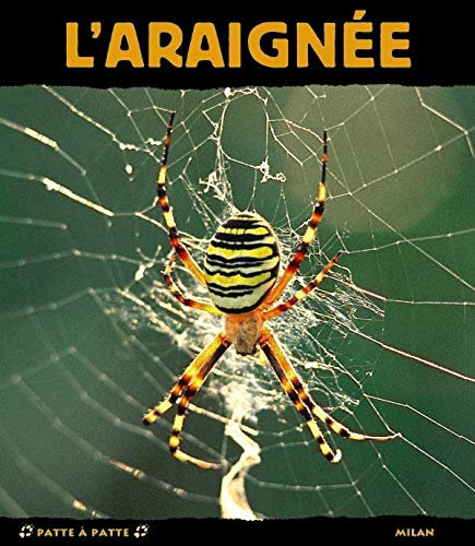 L'araignée