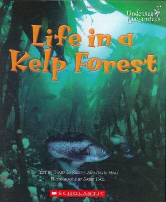 Life in a kelp forest