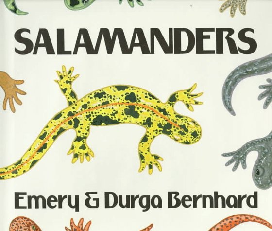 Salamanders