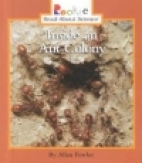 Inside an ant colony