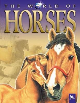 The world of horses