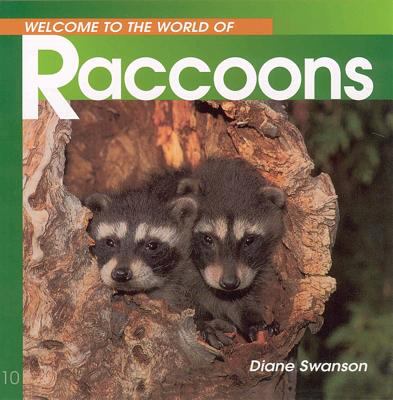 Welcome to the world of raccoons