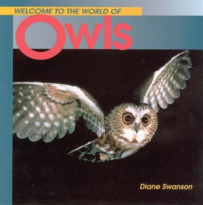 Welcome to the world of owls