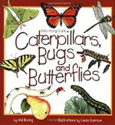Caterpillars, bugs, and butterflies