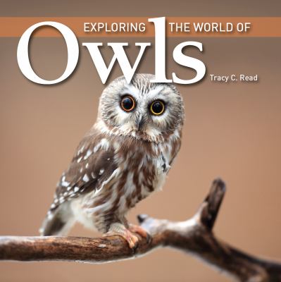 Exploring the world of owls