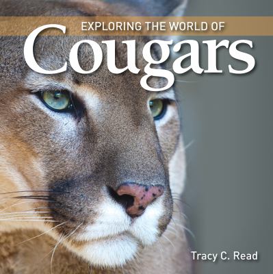 Exploring the world of cougars