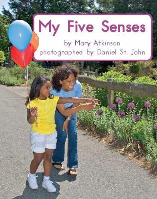 My five senses