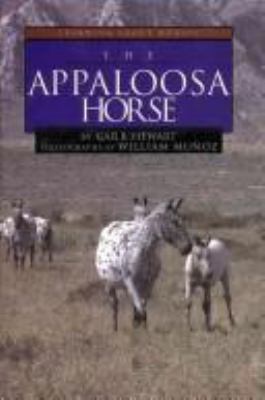 The appaloosa horse