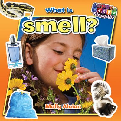 What is smell?