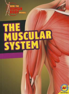 Muscular system