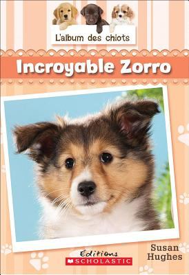 Incroyable Zorro