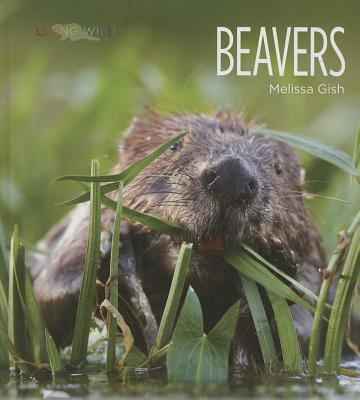 Beavers