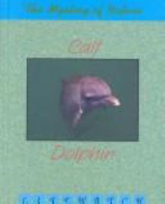 Calf to dolphin