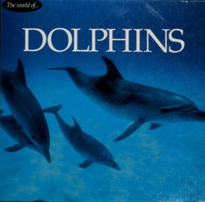 Dolphins