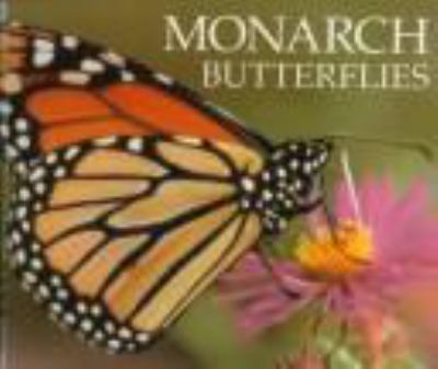 Monarch butterflies