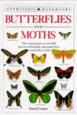 Butterflies and moths