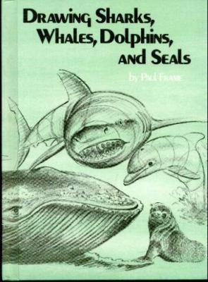 Drawing sharks, whales, dolphins, and seals