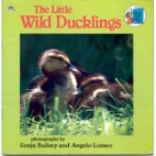 The little wild ducklings : photographs