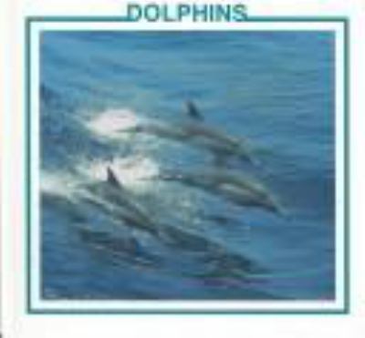 Dolphins