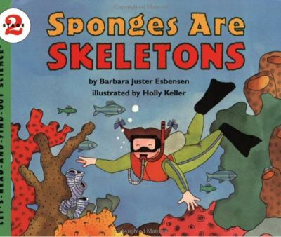 Sponges are skeletons