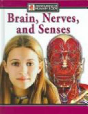 Brain, nerves, and senses