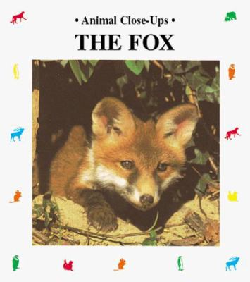 The fox, playful prowler