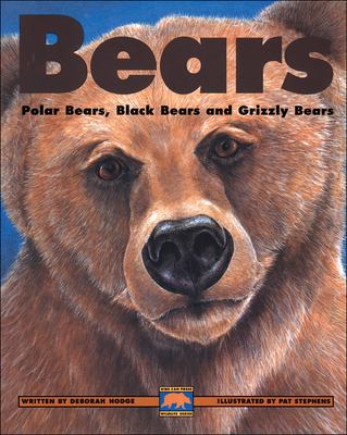 Bears : polar bears, black bears and grizzly bears
