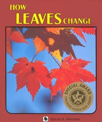How leaves change