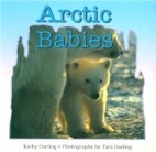 Arctic babies