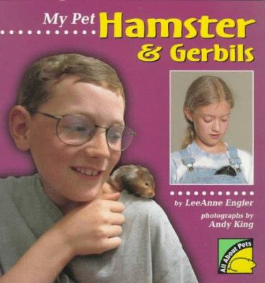 My pet hamster & gerbils