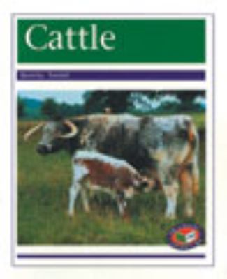 Cattle