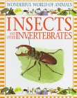 Insects and other invertebrates