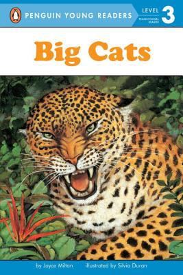 Big cats