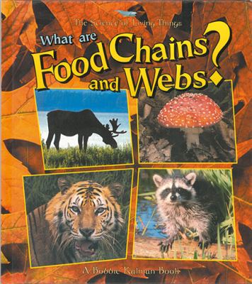 What are food chains and webs?