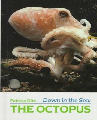 Down in the sea. The octopus /