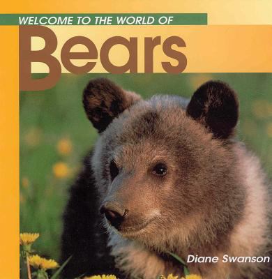 Welcome to the world of bears