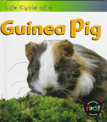 Life cycle of a guinea pig