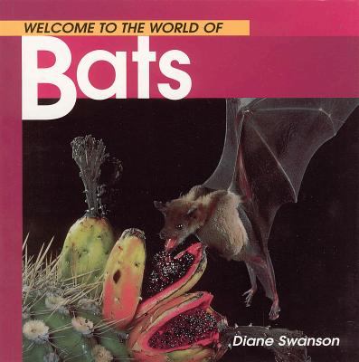 Welcome to the world of bats