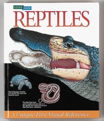 A look inside reptiles