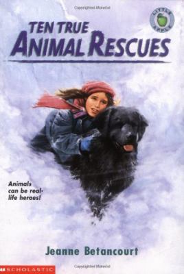 Ten true animal rescues