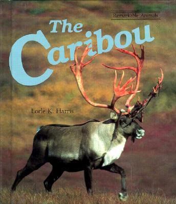 The caribou