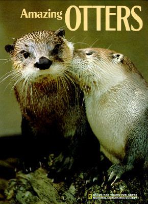 Amazing otters